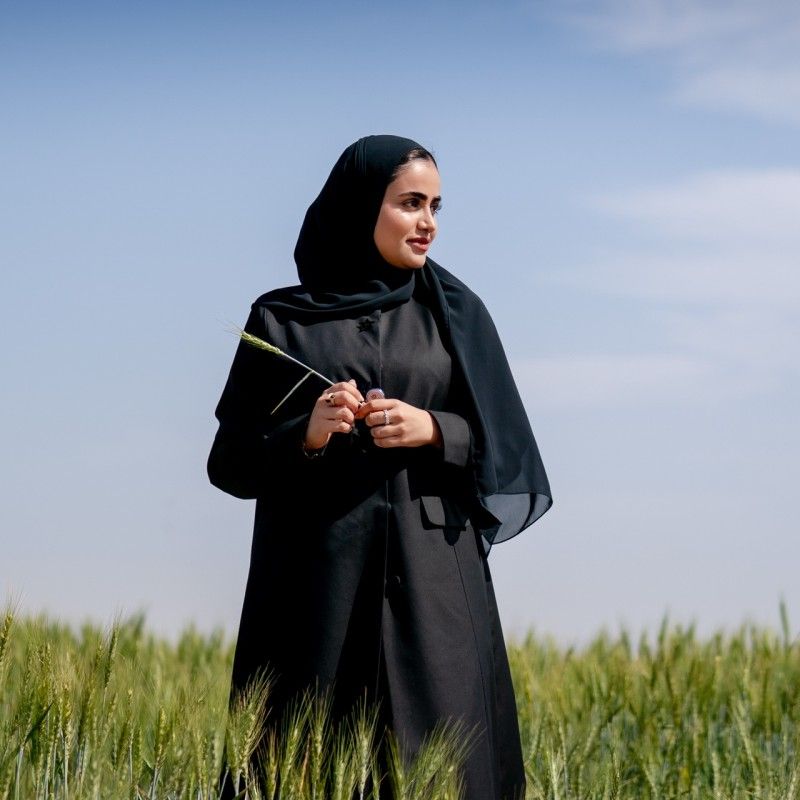 Arab woman in black abaya and hijab standing in a green wheat field under a blue sky, holding a stalk of wheat.