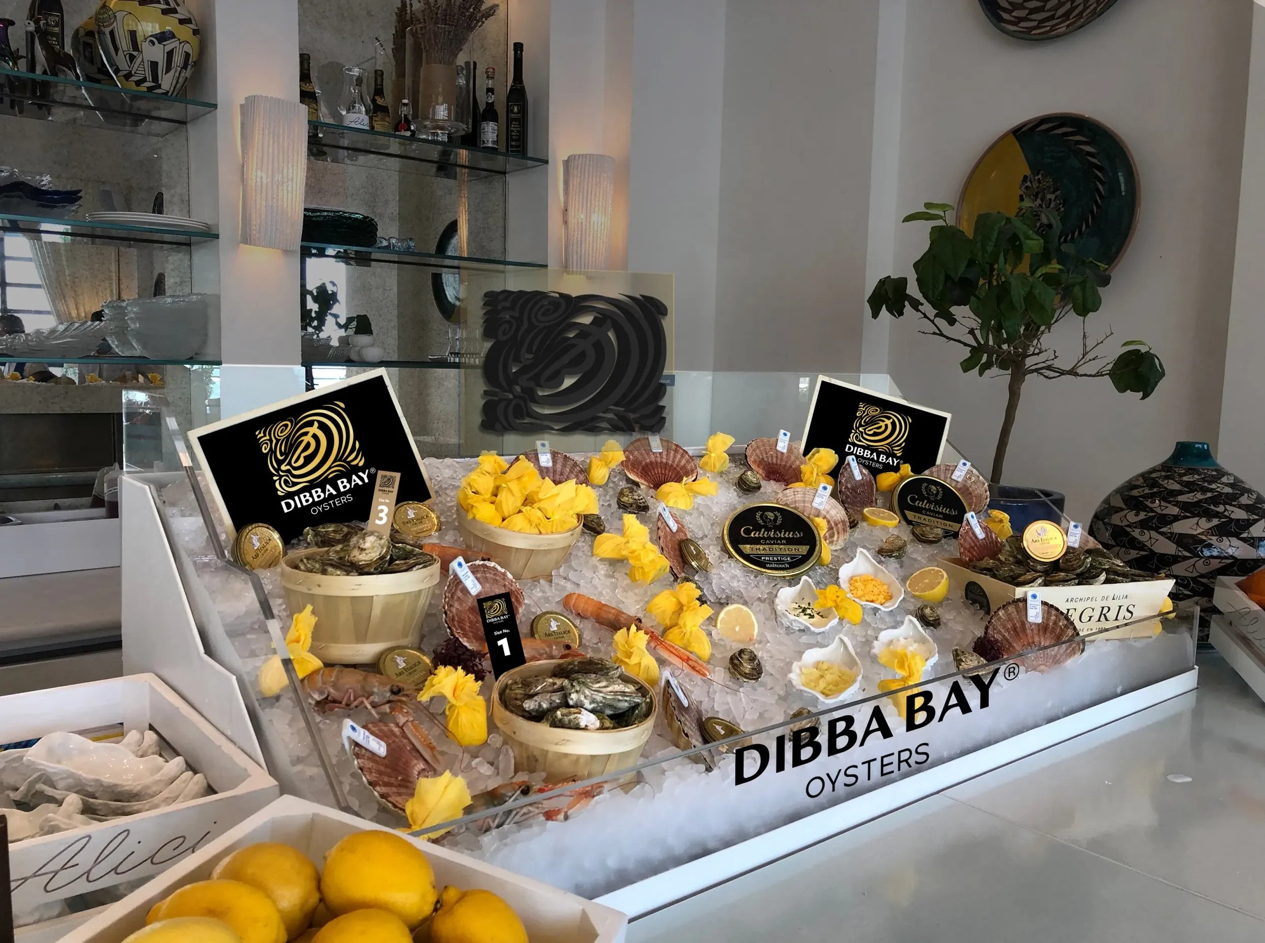 Dibba Bay oyster display at a restaurant, showcasing various sizes and preparations. Skyne, a branding agency, helped position Dibba Bay as a luxury lifestyle brand.