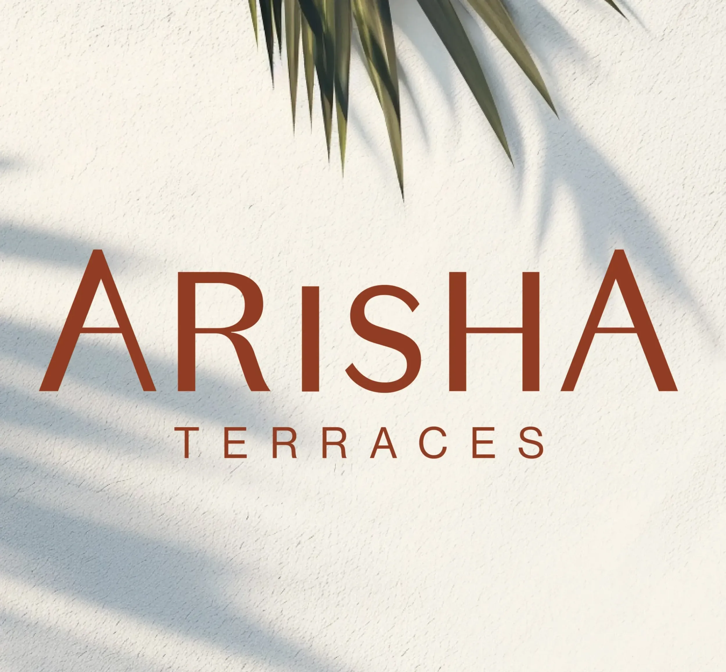 Close-up of Arisha Terraces logo on a textured white wall with palm leaf shadows, emphasizing natural integration in branding. Skyne crafts authentic brand identities for real estate projects in Dubai.
