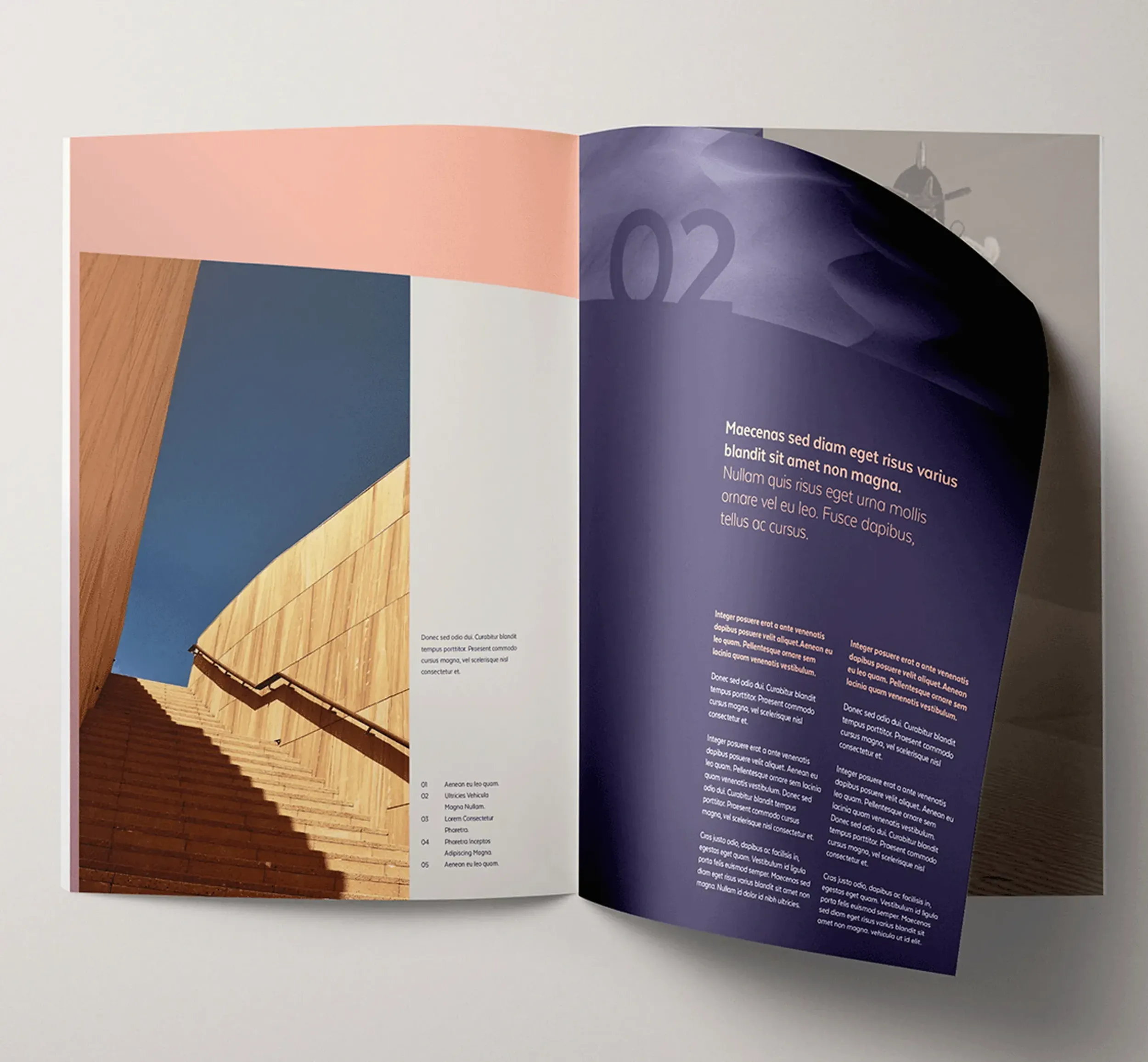 Skyne, a creative agency, designed the Mleiha visitor guide, featuring stunning visuals and informative content, integral to the destination's branding and visitor experience.