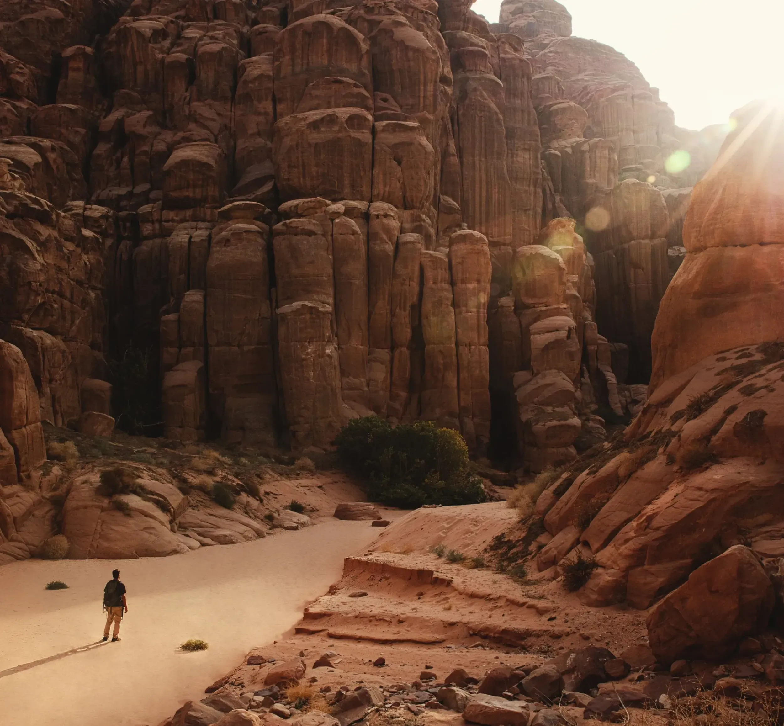 A person walking through a vast desert canyon, symbolizing exploration and new standards. Skyne, a creative agency, helps set industry standards in Saudi Arabia. 
