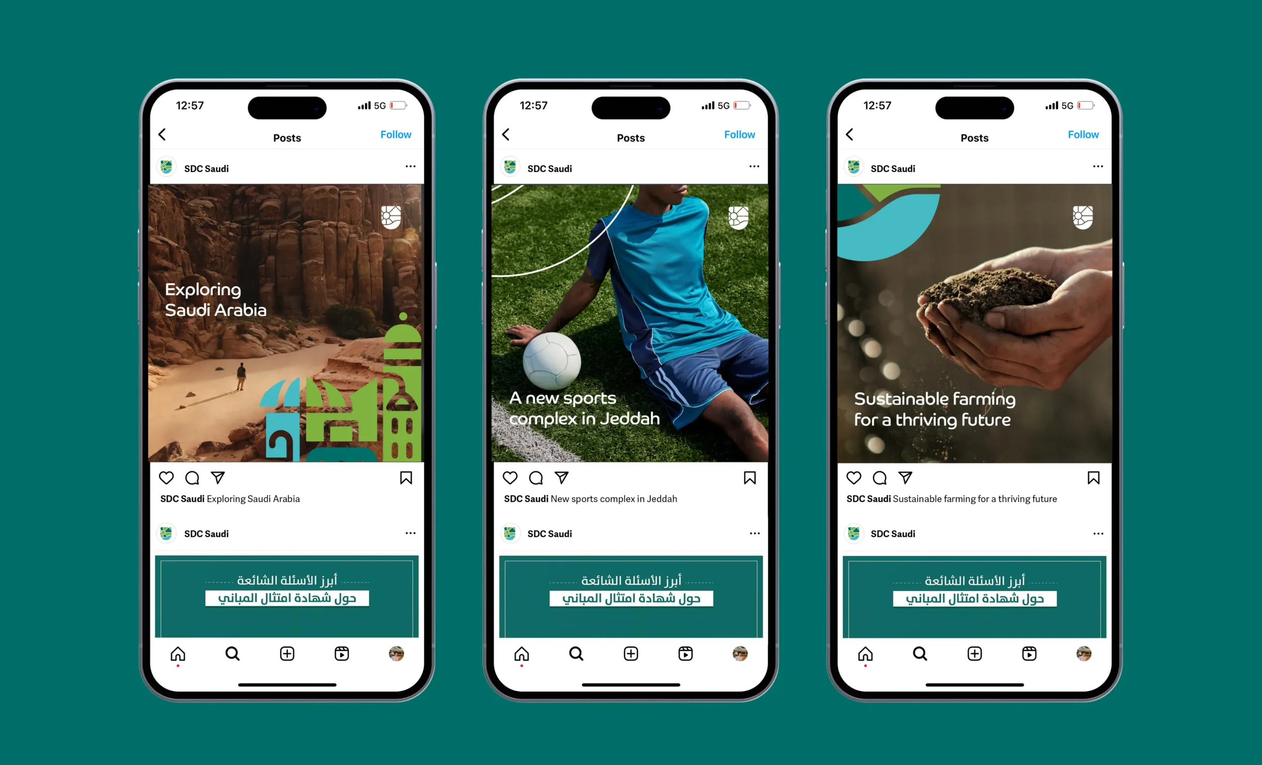Social media posts for Standards Development Committees, showcasing diverse initiatives. Skyne, a creative agency, designed engaging digital campaigns.