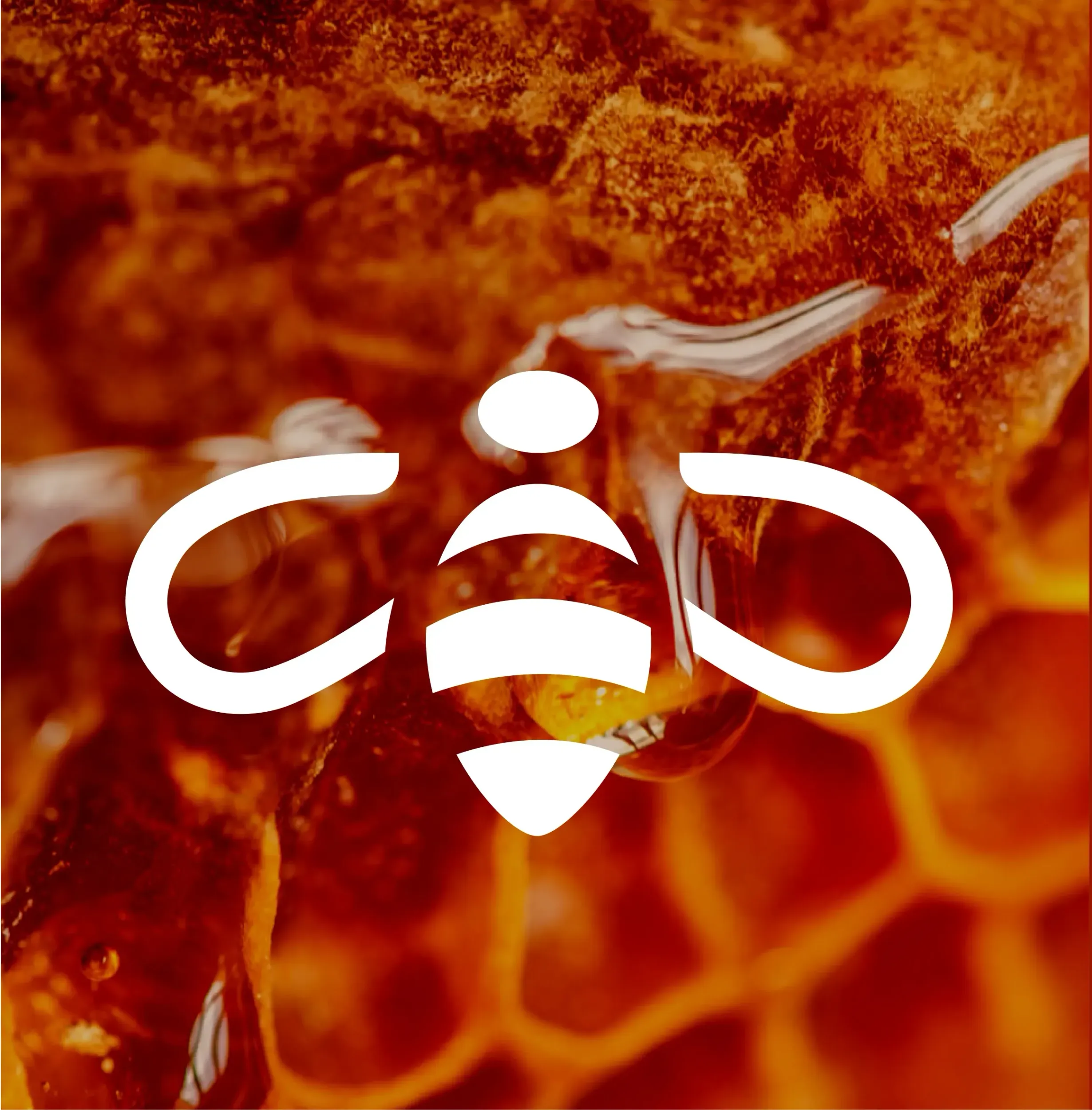 Close-up of honeycomb with Al Shifa bee logo, highlighting purity and natural quality. A key visual element in the branding and packaging design by Skyne, a creative agency.