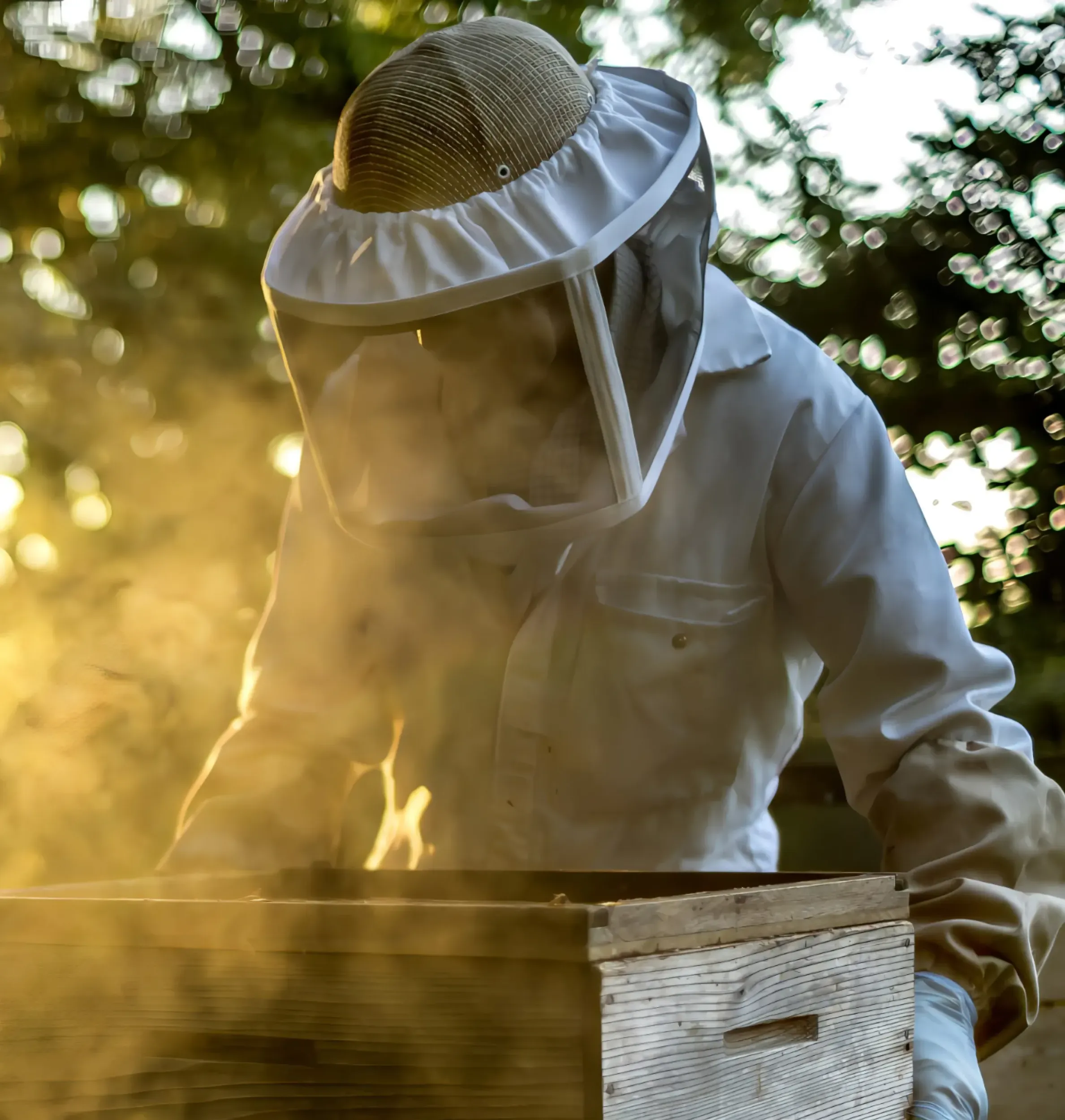 Beekeeper working with beehive, symbolizing the natural origin of Al Shifa honey. Skyne, a branding agency, emphasizes authenticity in branding and packaging design.