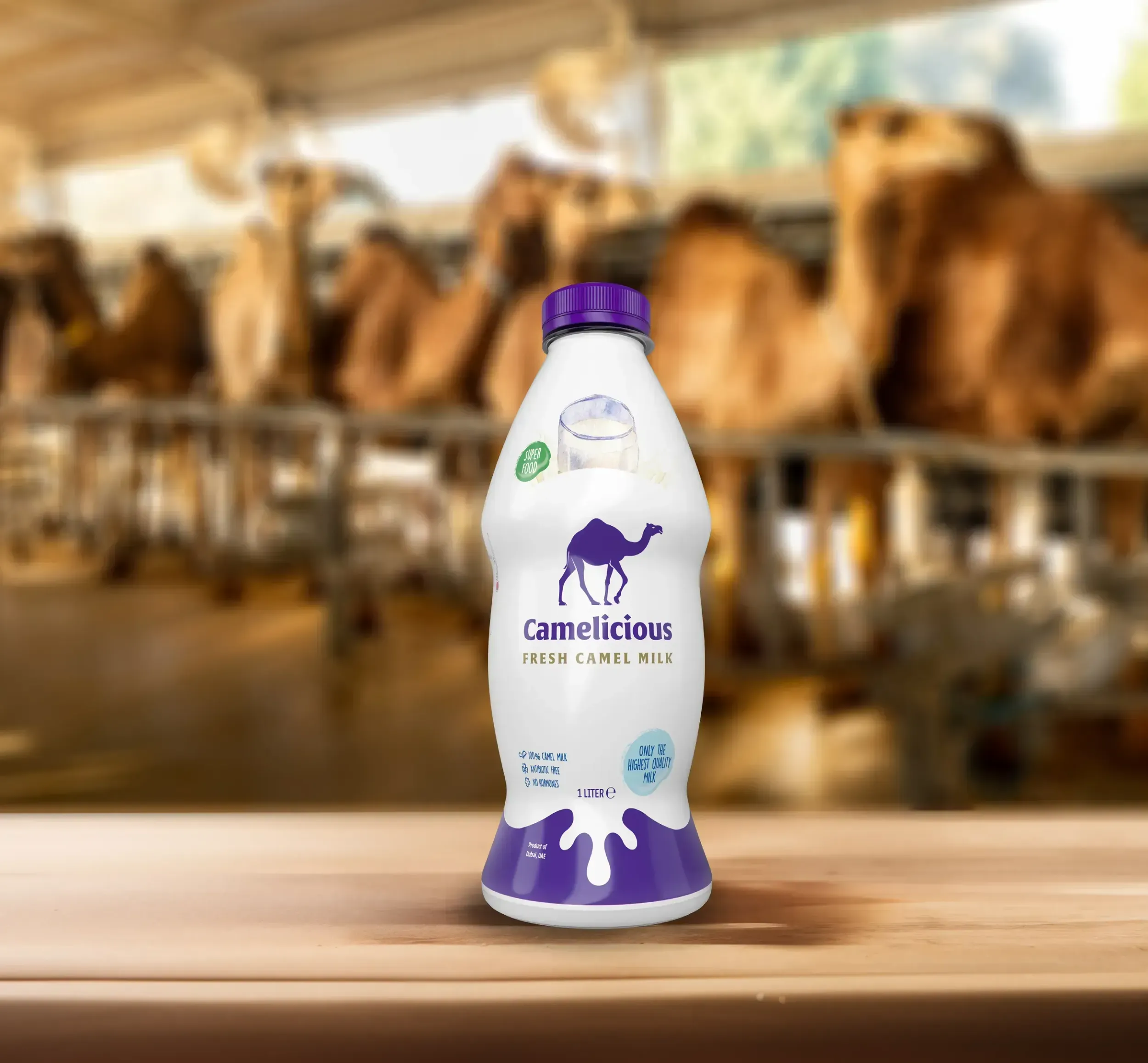 A bottle of Camelicious Fresh Camel Milk in a camel farm setting, emphasizing the product's freshness and natural origin, a key aspect of Skyne's branding for this premium food product.