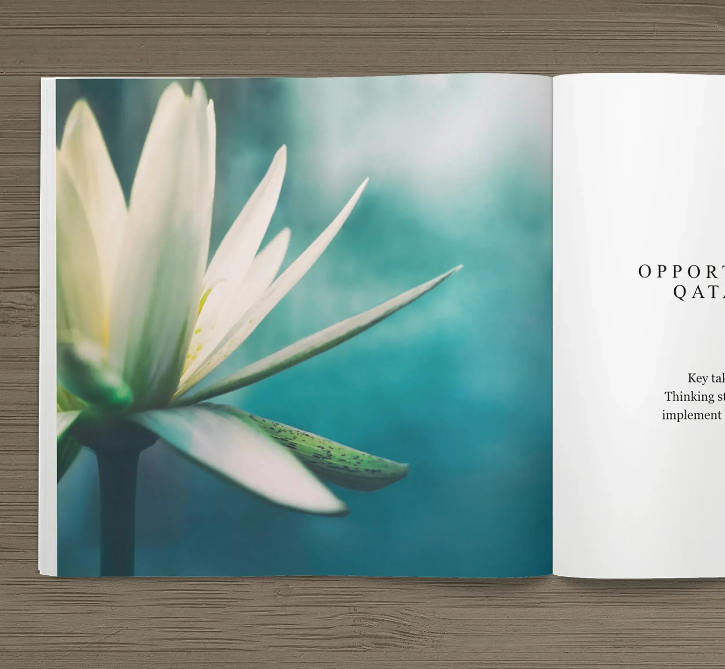 Open book with water lily and text on market opportunities in UAE, Qatar, and Oman. Skyne, a creative agency, provides strategic branding and market research for expansion.