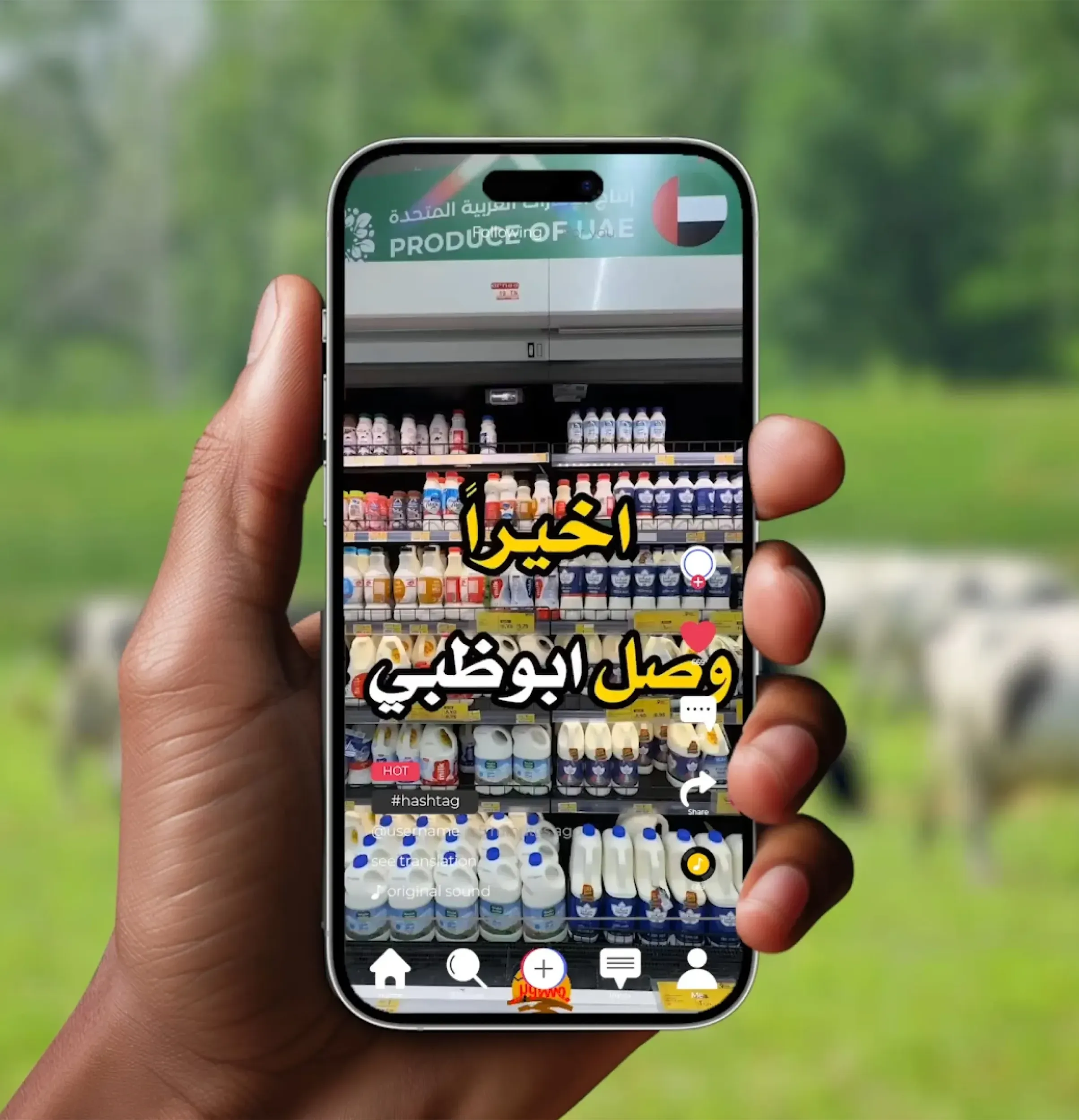 Hand holding a smartphone displaying a dairy product shelf with Arabic text announcing arrival in Abu Dhabi.