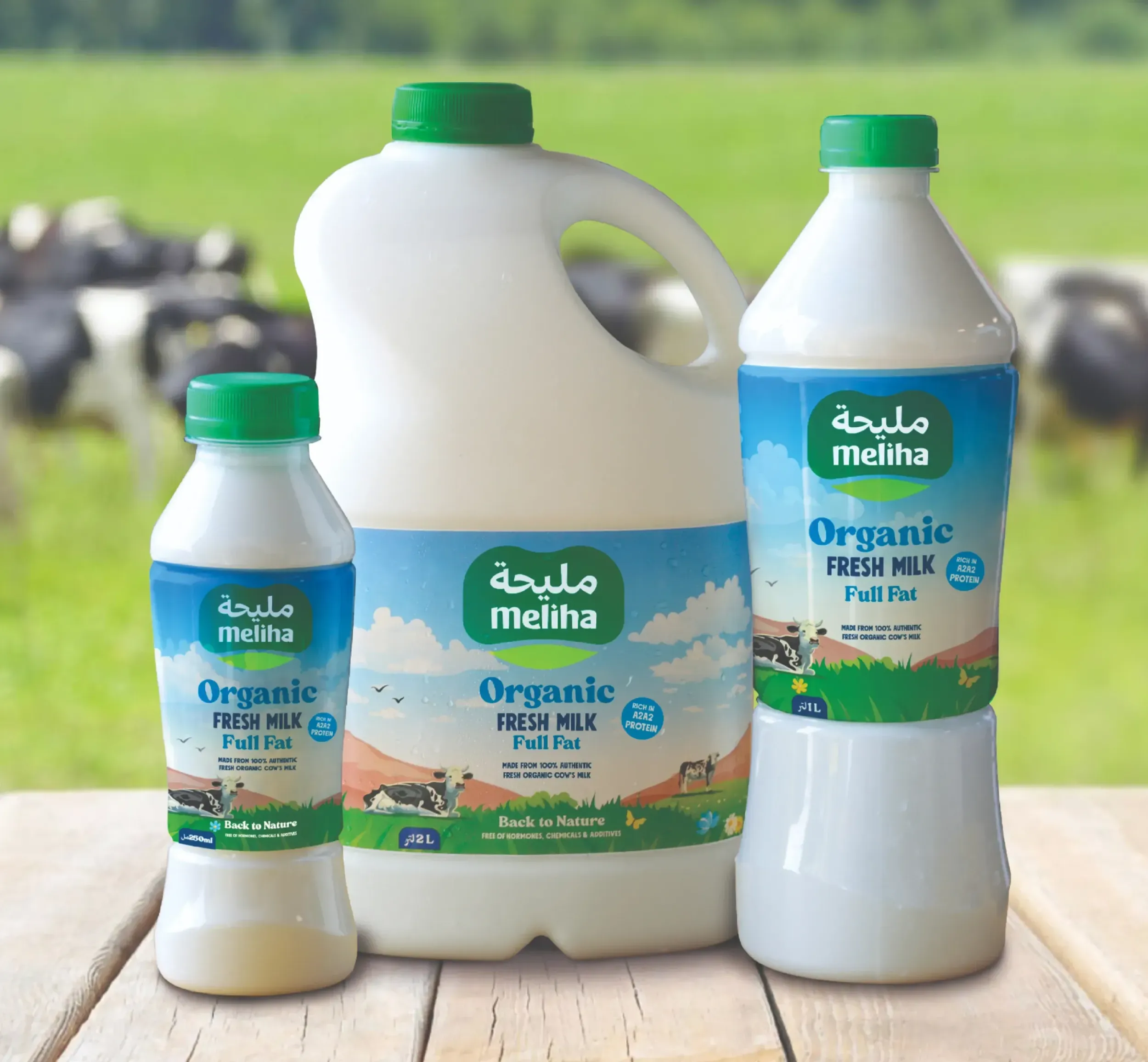 Three bottles of Meliha Organic Fresh Milk placed on a wooden surface with cows grazing in the background.